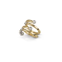 Anneau Chantecler Femme Anima in Or jaune Diamante 38715 - 38715-15